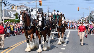 Looking for fall festivals? Here's what South Jersey offers