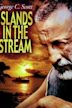 Islands in the Stream (film)