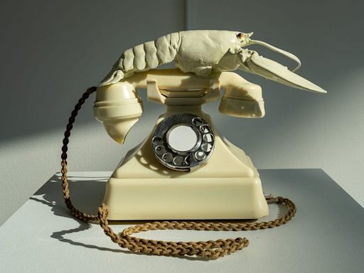 Salvador Dalí will take your call via lobster phone