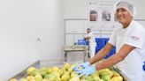 San Martín: inauguran Centro de Procesamiento de Alimentos en la región