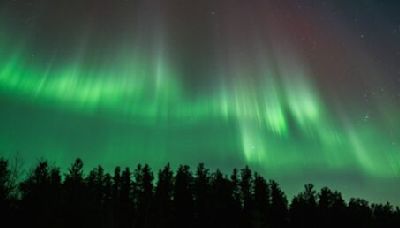 Edmonton is about to see a dazzling northern lights display | News