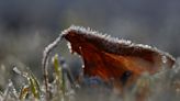 Bundle up: Frost advisory in effect for parts of Hampton Roads