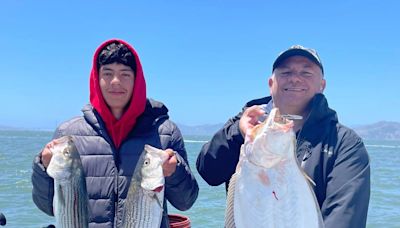 'Another fantastic day on the bay': Halibut, striped bass fishing sizzles in San Fransisco