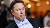 Elon Musk Spreads False Homophobic Conspiracy Theory About Paul Pelosi