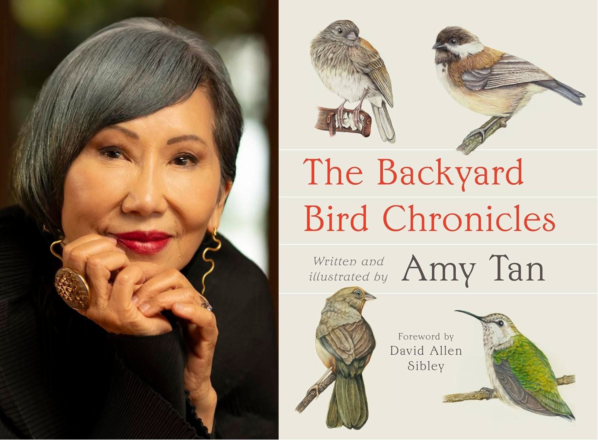 Amy Tan’s ‘The Backyard Bird Chronicles’, The Nightmare of Customer Service - WHYY