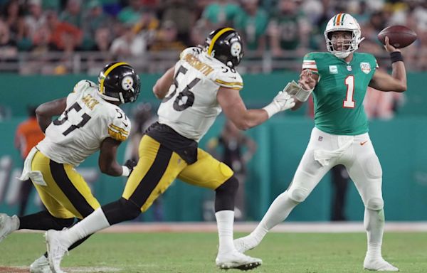 Dolphins Writer Slams Steelers