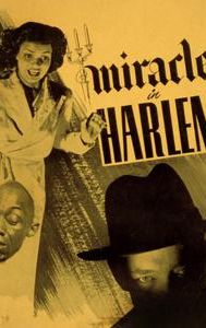 Miracle in Harlem