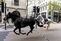 2 Royal Horses That Bolted Through London Were ‘Dripping with Blood,’ Say Police Officers Who Helped Save Them