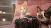 Canon's new VR cat video is ridiculously cute