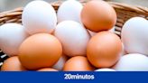 Reino Unido se queda sin huevos y obliga a algunos supermercados a imponer el racionamiento