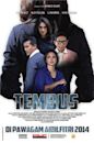 Tembus