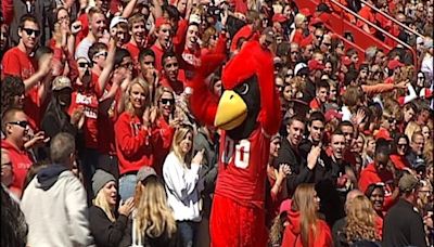 Reggie Redbird needs your vote for the MVC Mascot Madness