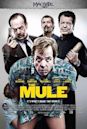 The Mule (2013 film)