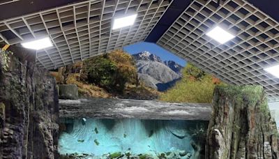 展示槽模擬溪流生態 如置身原始棲地觀察國寶魚
