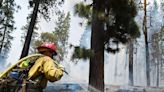 Yosemite wildfire update: Fire containment shrinks, but hope grows to save giant sequoias