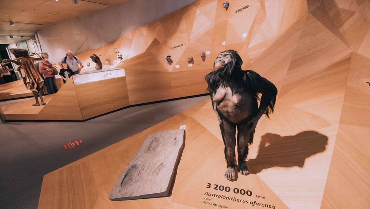 What The 3.2 Million-Year-Old Lucy Fossil Reveals About Nudity And Shame