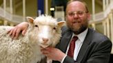 Cloning Trailblazer Ian Wilmut, Known for Dolly the Sheep, Dies at 79