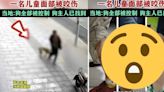 3惡犬橫行湖南街頭攻擊路人 16人遭不同程度咬傷 政府咁處置…