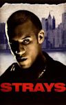 Strays (1997 film)