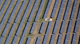 地面太陽能安裝太瘋狂，義大利禁止太陽能入侵農業用地