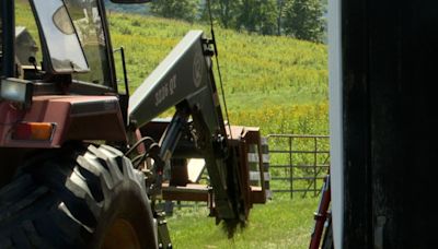 Ring in the harvest season at the Autumn Harvest Festival