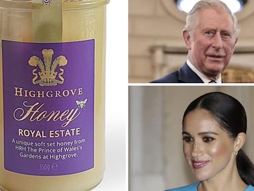 King Charles stings Meghan Markle with behind-the-back ‘Royal bees’ move as tensions brew