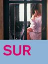 Sur (film)