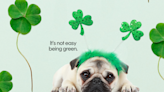 Cute St. Patrick’s Day IG Captions for When the Green Beer Clouds Your Judgment