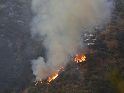 Algérie : incendies sous contrôle en Kabylie, des dizaines d'habitants évacués