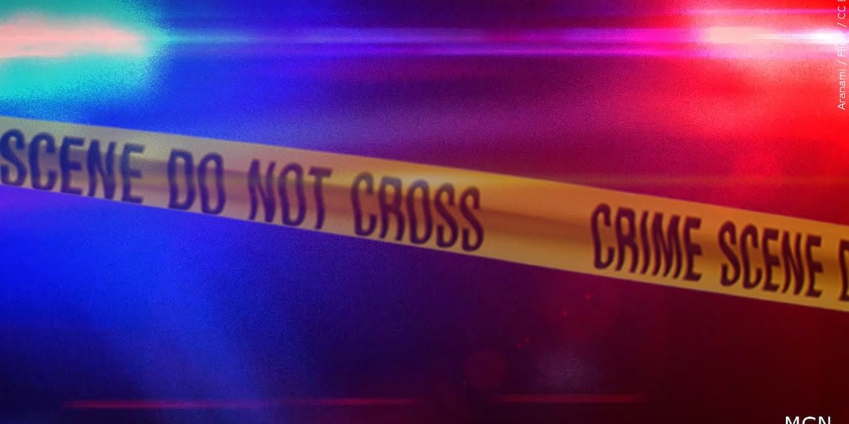 Person found fatally shot in Marlboro County, deputies say