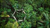 El Yunque es un laboratorio a cielo abierto: así se investiga el futuro de los bosques en esta joya puertorriqueña