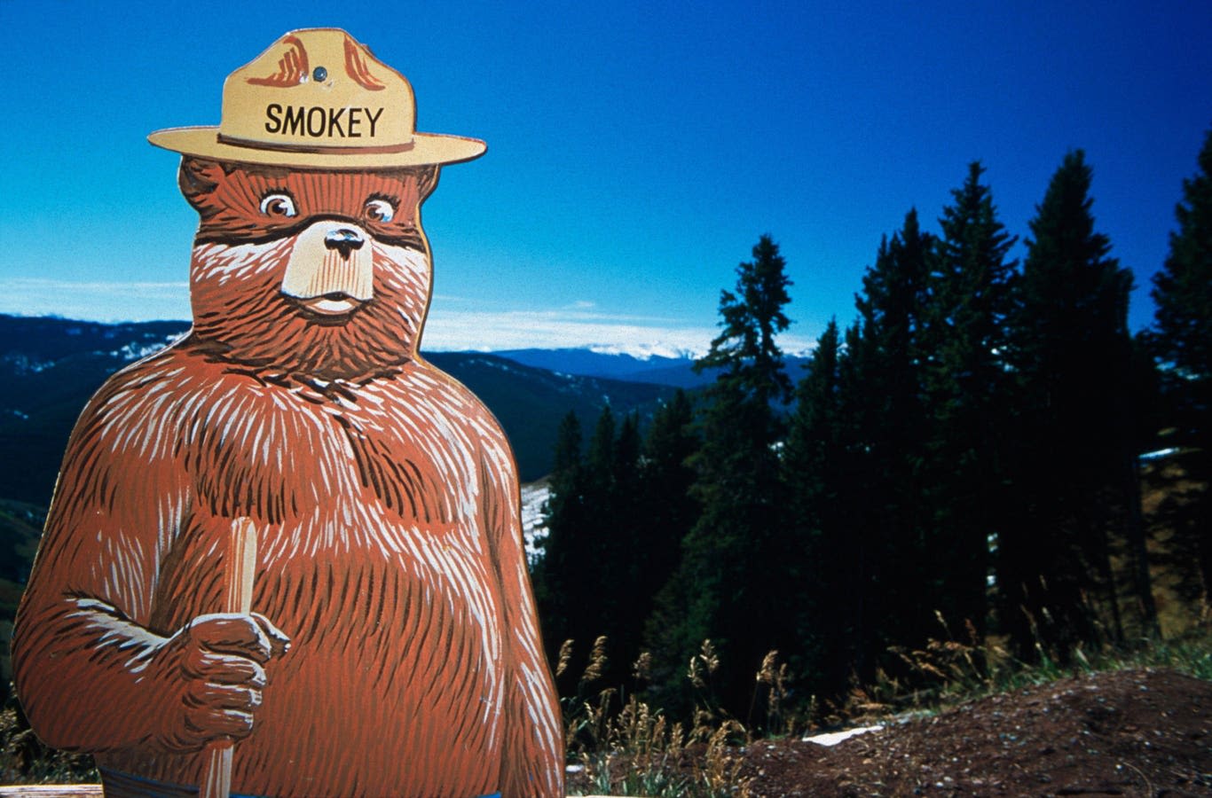 Smokey Bear Turns 80: A Celebration Of The Pop Culture Icon