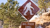 ‘The Secret History of Bigfoot’ Review: The Enduring Appeal of Bigfoot