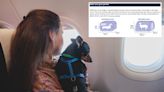 My dog wasn’t allowed to board my flight — I’m convinced there’s a no-fly list for pets