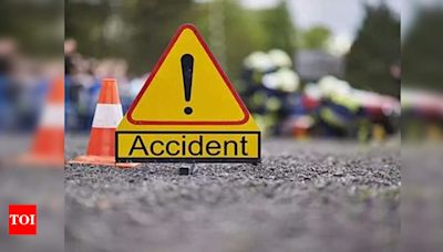 Driver ‘dozes off’, three of Lucknow family killed | Bareilly News - Times of India