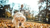 10 Fall Pet Safety Tips for a Healthy and Happy Spooky Season