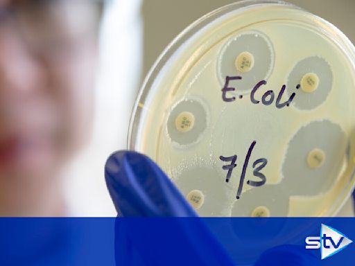 Legal action started against Tesco and Asda over E. coli outbreak