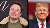 Elon Musk sure seems to be following Donald Trump's playbook