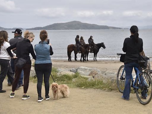 Costumed apes ride on horseback near San Francisco's Golden Gate Bridge