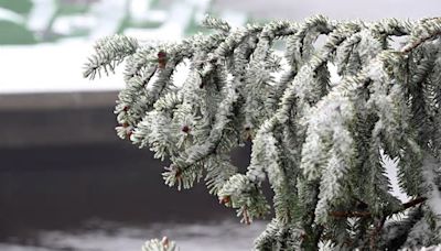 Wetter im Ticker: Wechselhaftes Wochenende in Berlin und Brandenburg