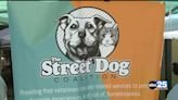 Free Veterinary Care for Pets of People Experiencing Homelessness - ABC Columbia