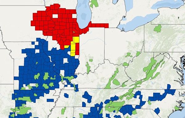 Cicadas broods map: Why are there so many cicadas in Illinois?