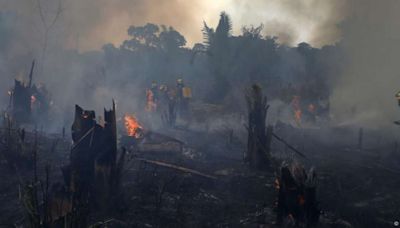 Como é possível financiar a proteção da Amazônia?