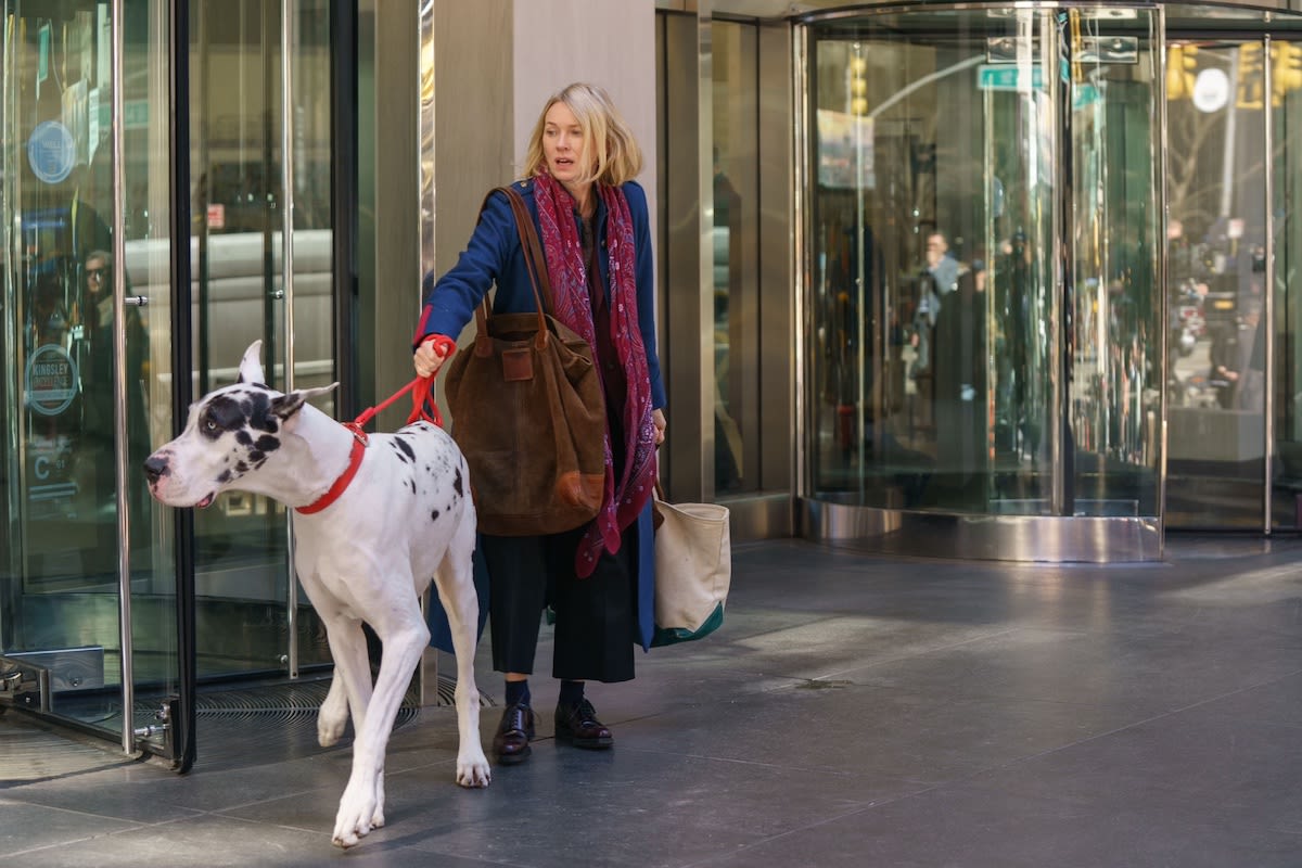 How Naomi Watts Prepared to Work With Bing, Her 145 Pound Great Dane Co-Star in ‘The Friend’