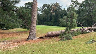 'Too many trees to count': Aiken, Augusta golf courses face damage from Tropical Storm Helene