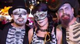 Comic con, Zoo Boo, costumed bar crawl: 5 things to do in metro Detroit this weekend