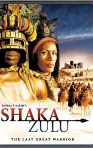 Shaka Zulu: The Citadel