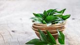 4 Incredible Ways Curry Leaves Water Can Accelerate Your Weight Loss Goals