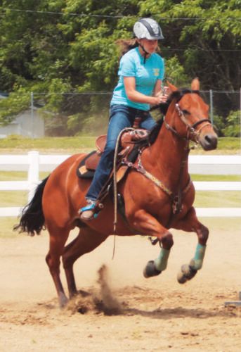 Columbiana County Saddle Horse Committee to hold vendor fair