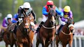 Northumberland Plate: Horse-by-horse guide to Newcastle's feature including a verdict
